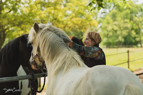 Photo Mijn paard in beweging