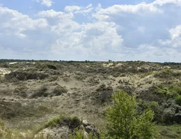 Natuurreservaat De Westhoek