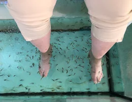 Beach Fish SPA