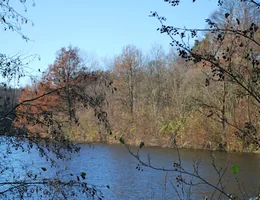 Ruchers Réunis d'Ittre et environs - RRI