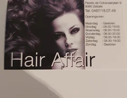 Hair Affair