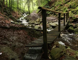 Cascade de Nutons