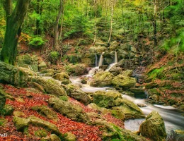 Cascade de Nutons