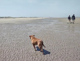 Natuurreservaat De Westhoek