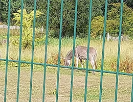 Provinciedomein Halve Maan Diest: openluchtzwembad (ticket reserveren!)