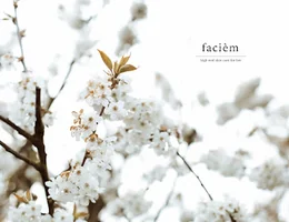 Facièm