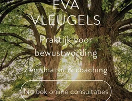 Eva Vleugels, zen shiatsu en coaching