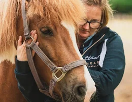 Mijn paard in beweging