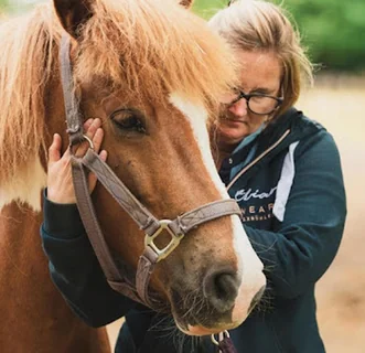 Photo Mijn paard in beweging