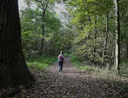 Natuurreservaat De Westhoek