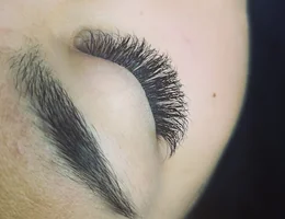 Lash You Wish