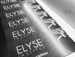 Elyse institut