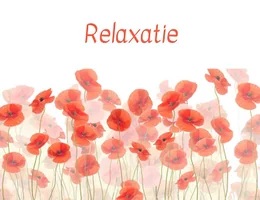 Relaxatie Els Rediers