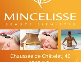 Institut Mincelisse