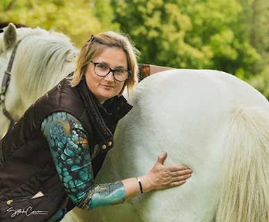 Photo Mijn paard in beweging